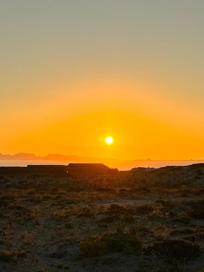 Hotel Entre Dunas Y Caracolas Punta de Choros Exteriér fotografie