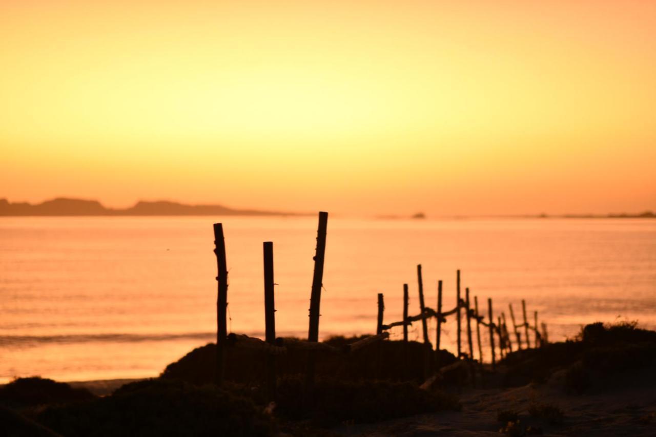 Hotel Entre Dunas Y Caracolas Punta de Choros Exteriér fotografie