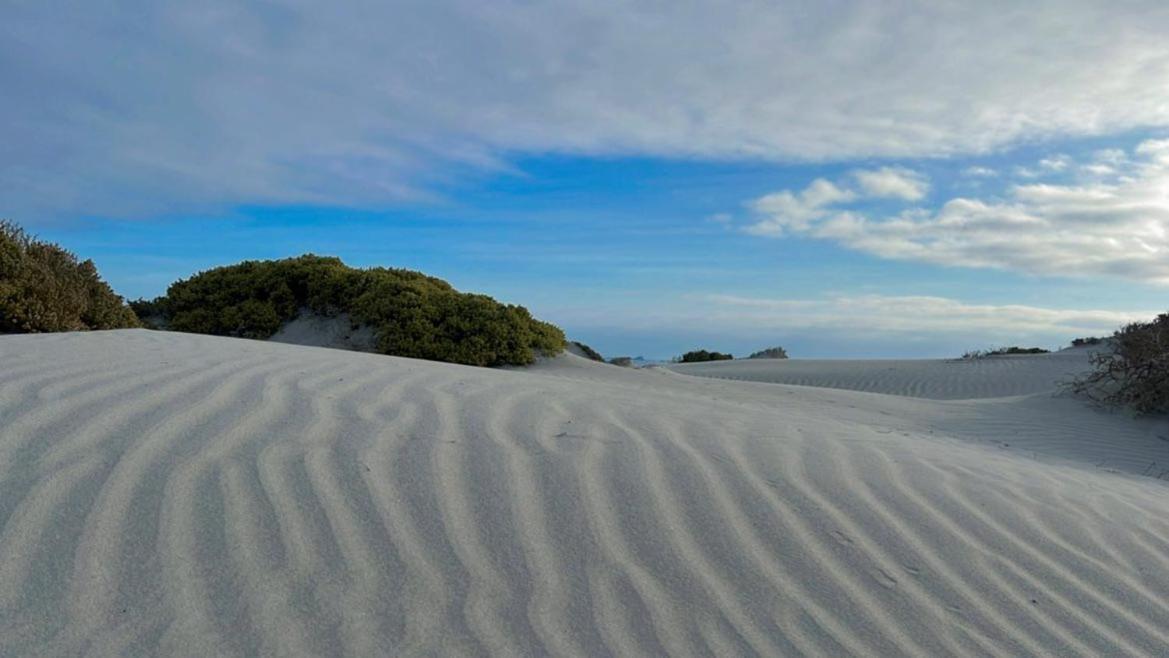 Hotel Entre Dunas Y Caracolas Punta de Choros Exteriér fotografie