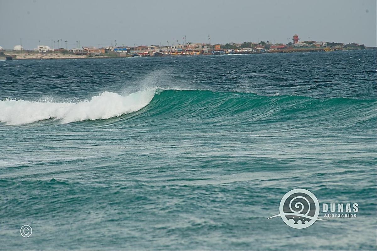 Hotel Entre Dunas Y Caracolas Punta de Choros Exteriér fotografie