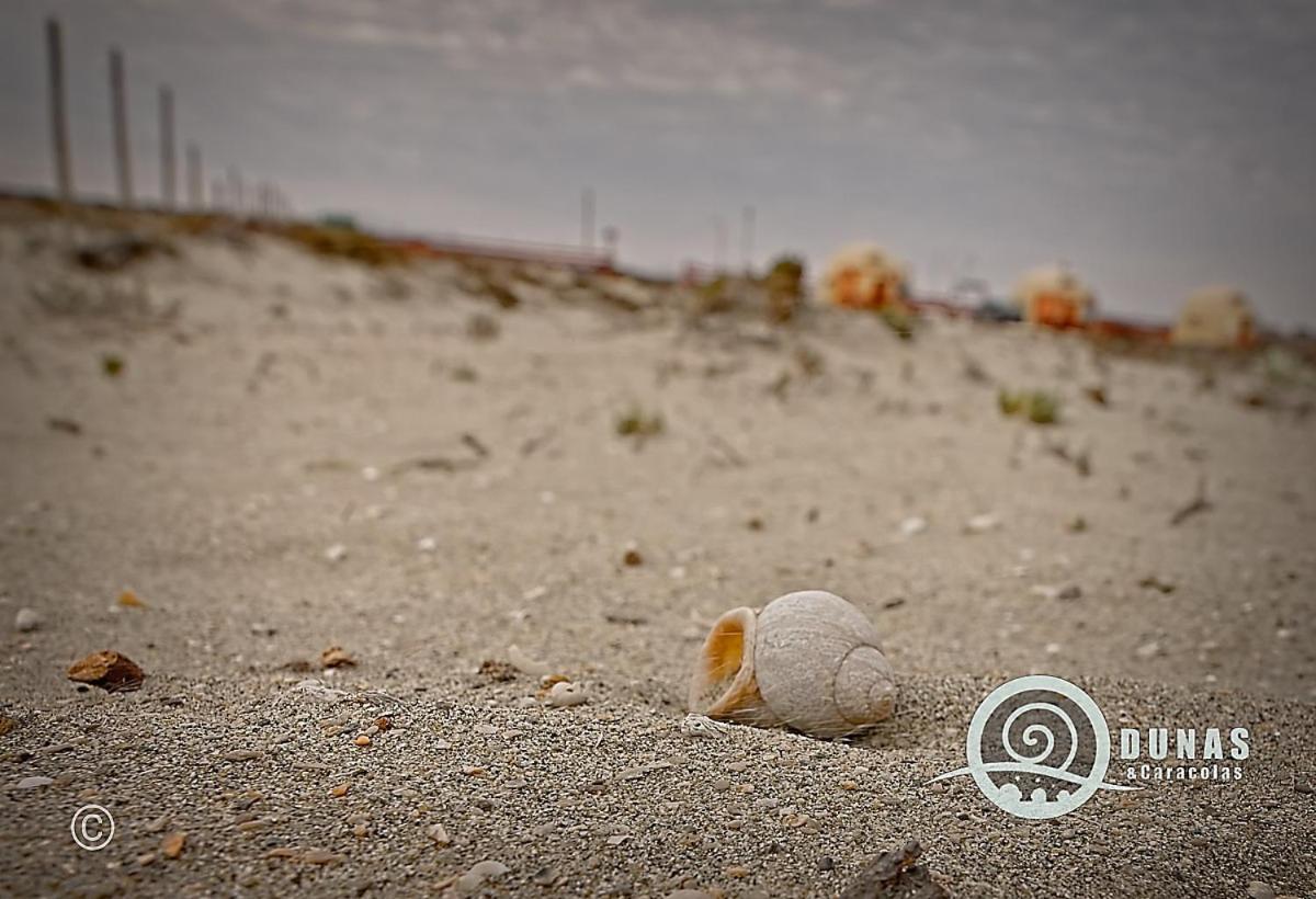 Hotel Entre Dunas Y Caracolas Punta de Choros Exteriér fotografie