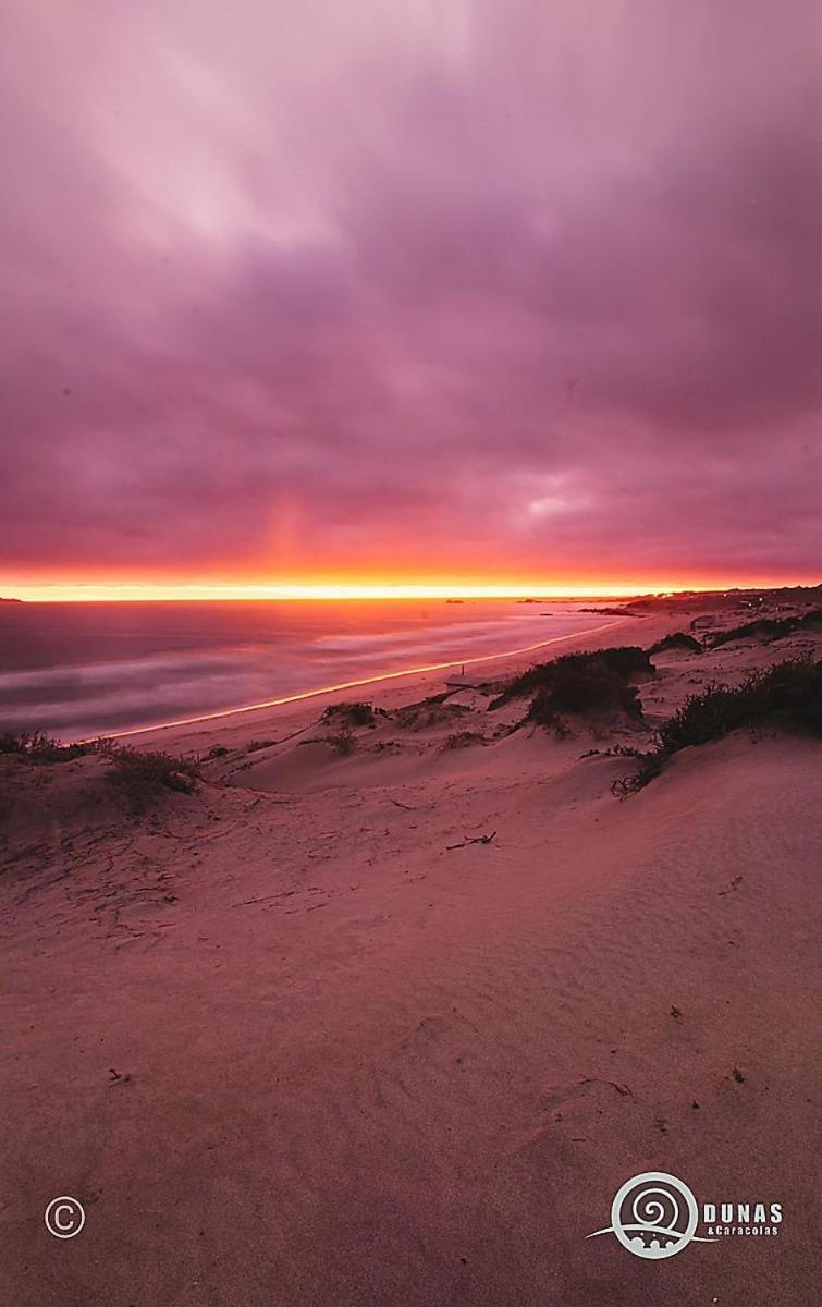 Hotel Entre Dunas Y Caracolas Punta de Choros Exteriér fotografie